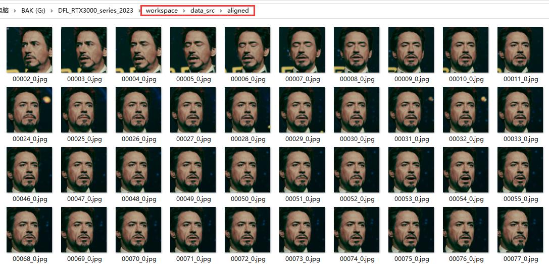DeepFaceLab教程 DeepFaceLab新手教程