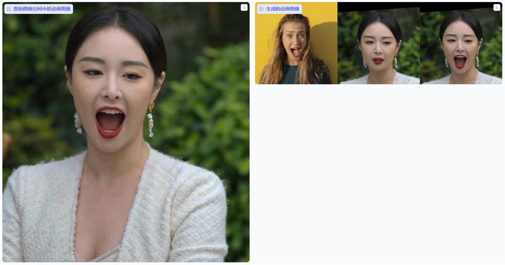 LivePortrait V4版：新增图片驱动图片，一张照片生成生动视频、表情包，精准操控五官，本地一键整合包下载  ...