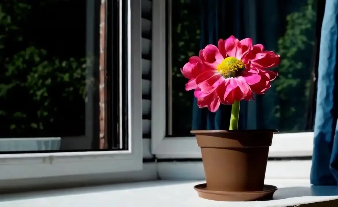sample2.webp